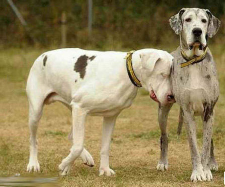 49153442_14.jpg 49153442_14.jpg